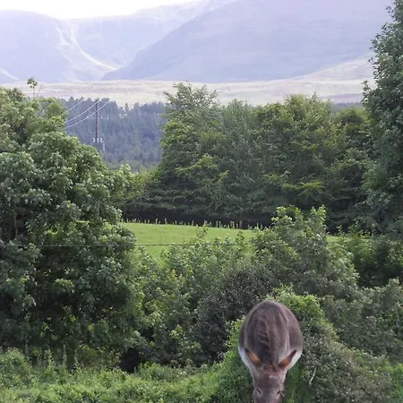 Carriglea House 3* Cill Airne